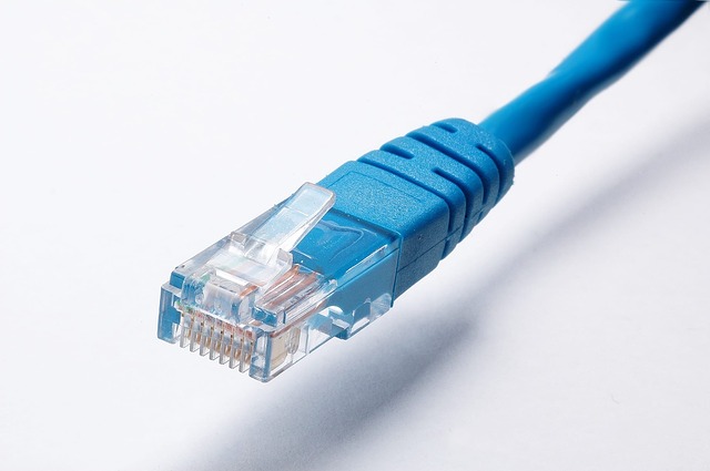 network cable 