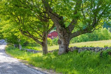 rural-broadband